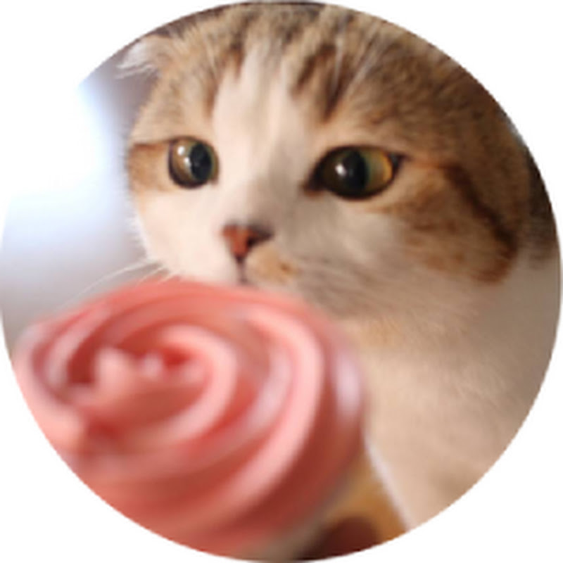 Cate Food Travel