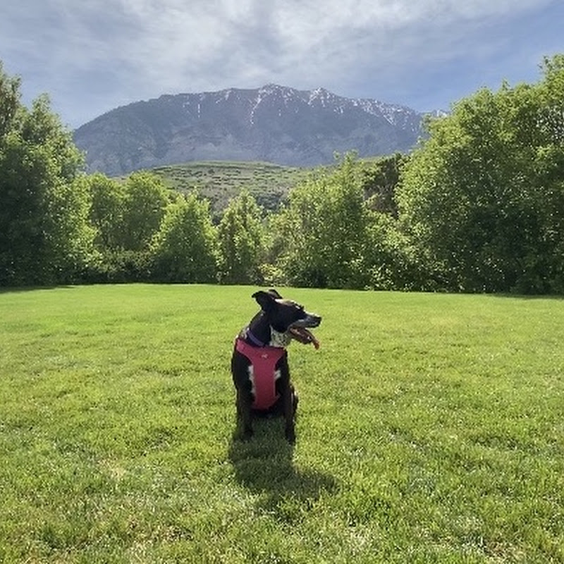 Ethan Travels