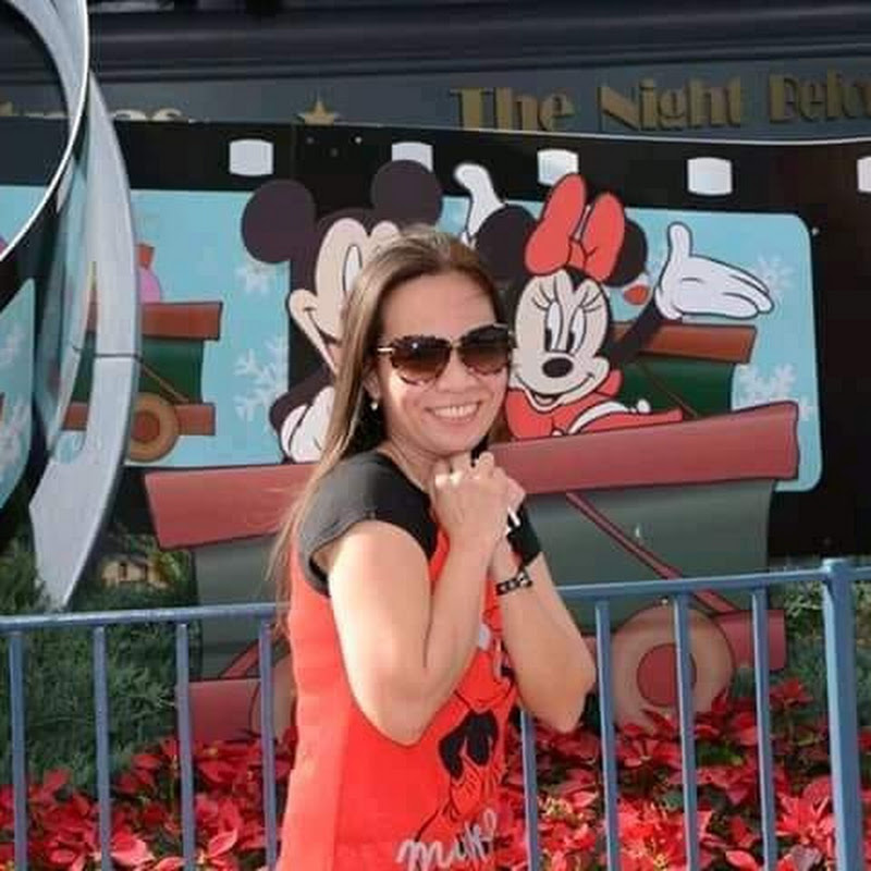 Orlando Traveler