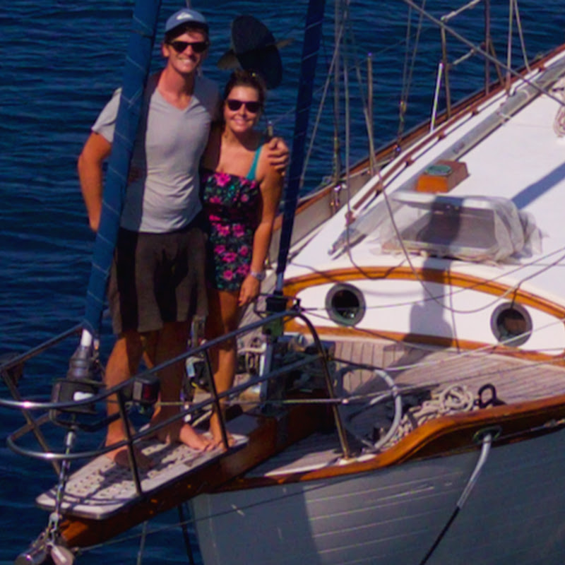 Sailing Kittiwake