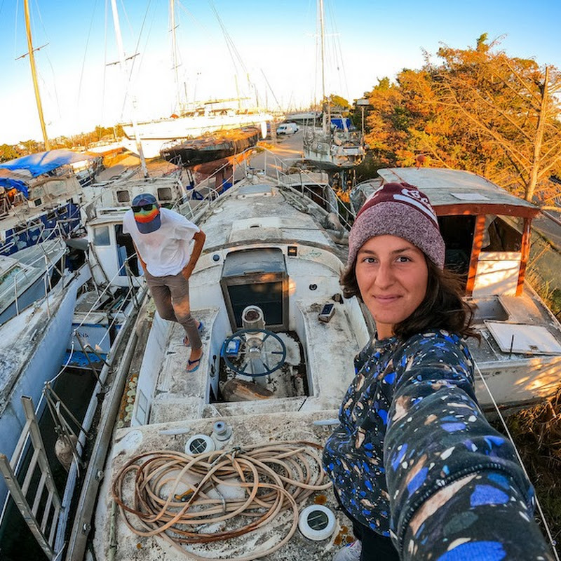 Sailing Seabird