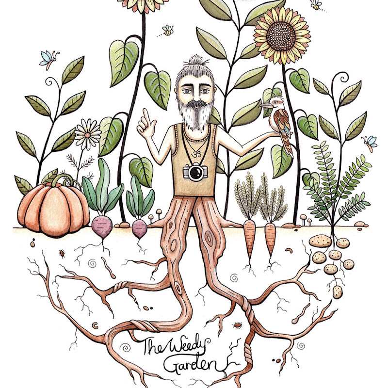The Weedy Garden