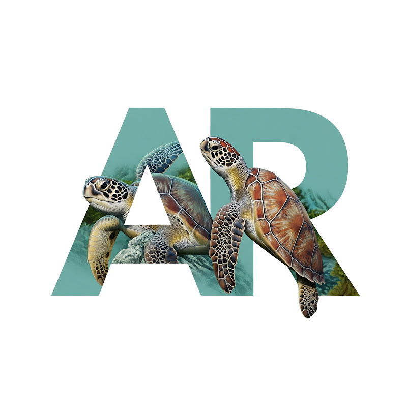 Things To Do In Aruba