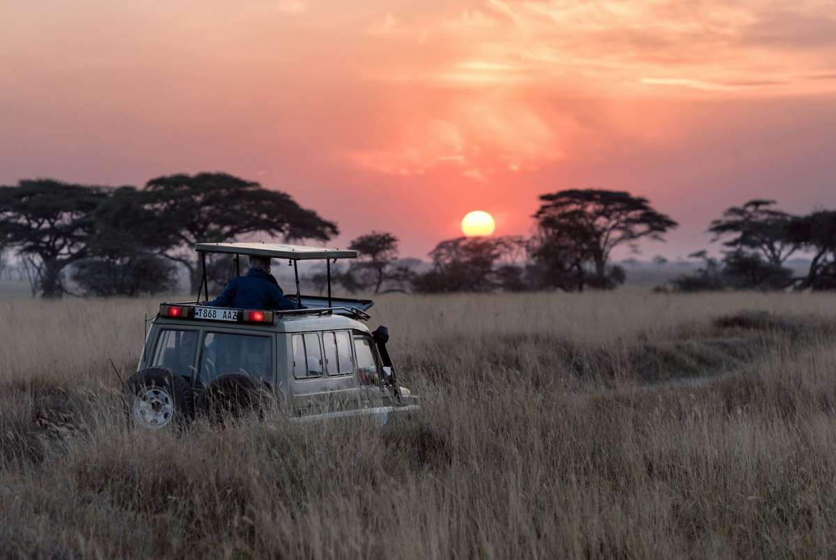 Banyan Tree Opens Ubuyu, Its First Luxury Safari Resort, in Tanzania