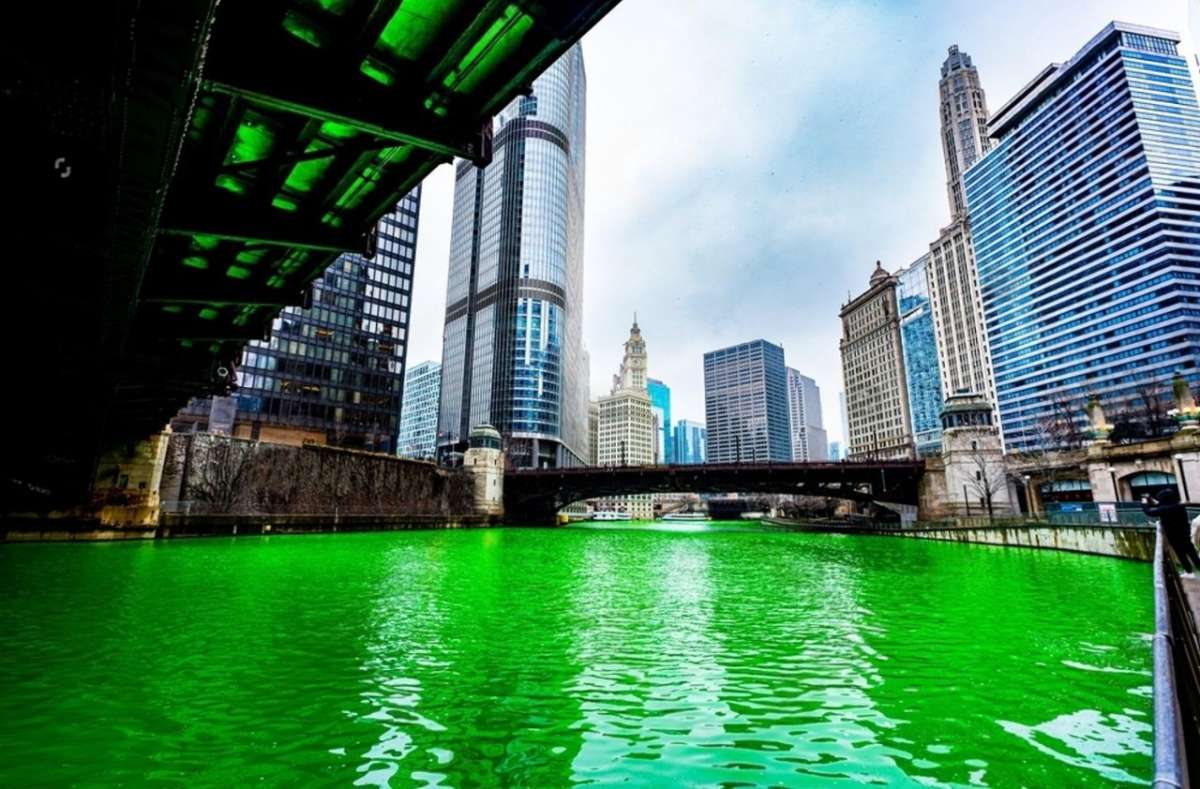 Chicago skyline, summer festival, diverse crowd, outdoor concert, city park, sunny day, happy people}