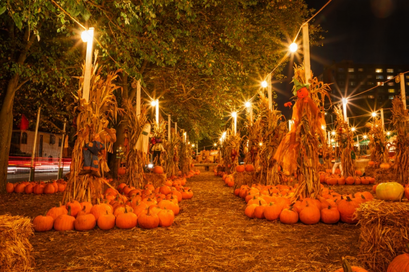 Castro Halloween party, elaborate costumes, crowded street, rainbow flags, festive lights, San Francisco nightlife, street photography}