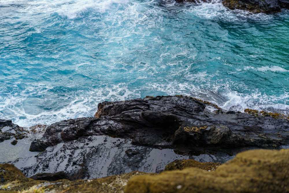 family with kids, playing on California beach, sunny day, golden sand, Pacific Ocean, happy, laughing