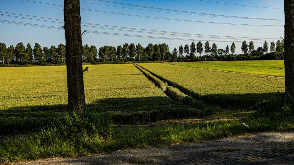 flat lay, travel essentials, passport, camera, map, journal, sunglasses