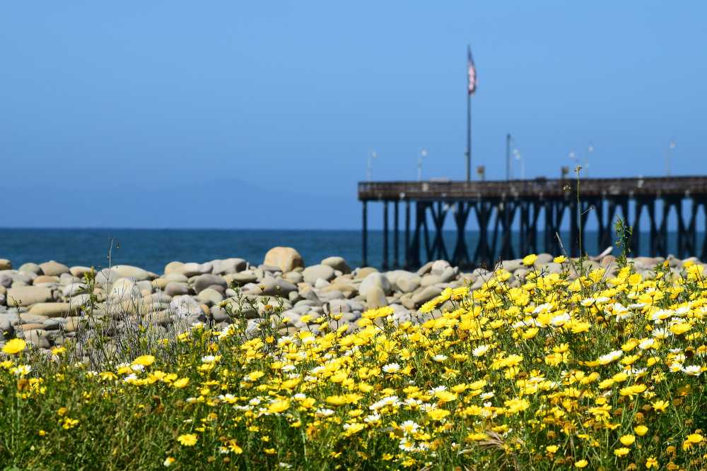 best time to visit California beaches, seasonal guide, pros and cons, summer crowds, fall sun, winter whales, spring wildflowers