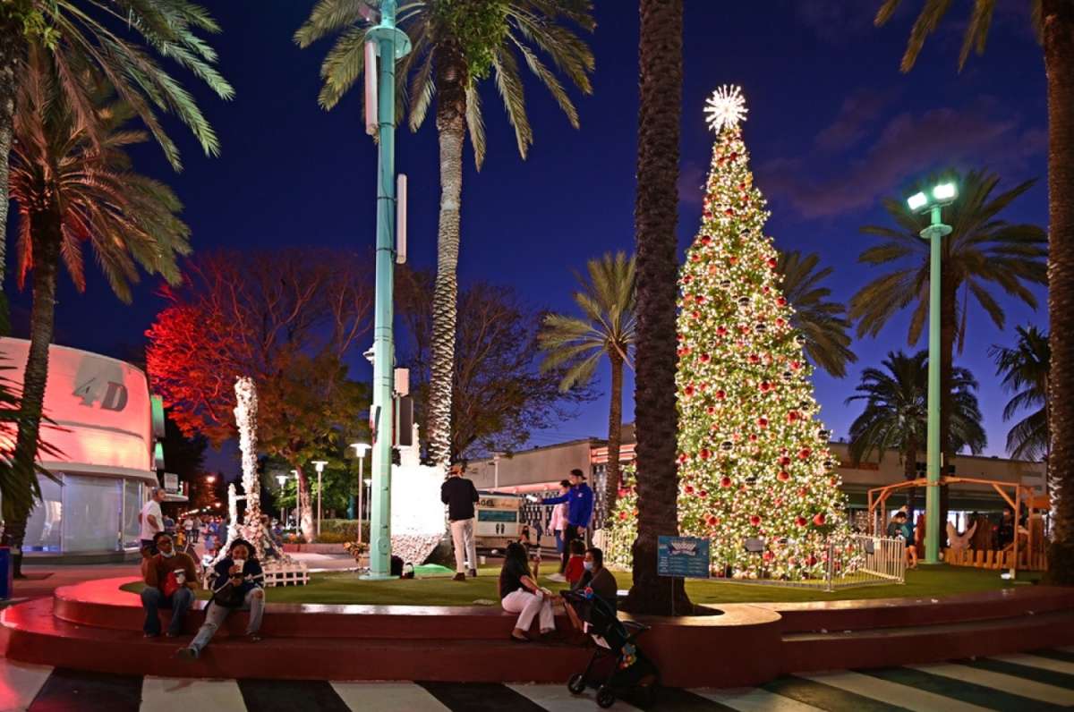 Miami boat parade viewing spots, Bayfront Park map, Venetian Causeway, Key Biscayne, downtown Miami, waterfront parks}