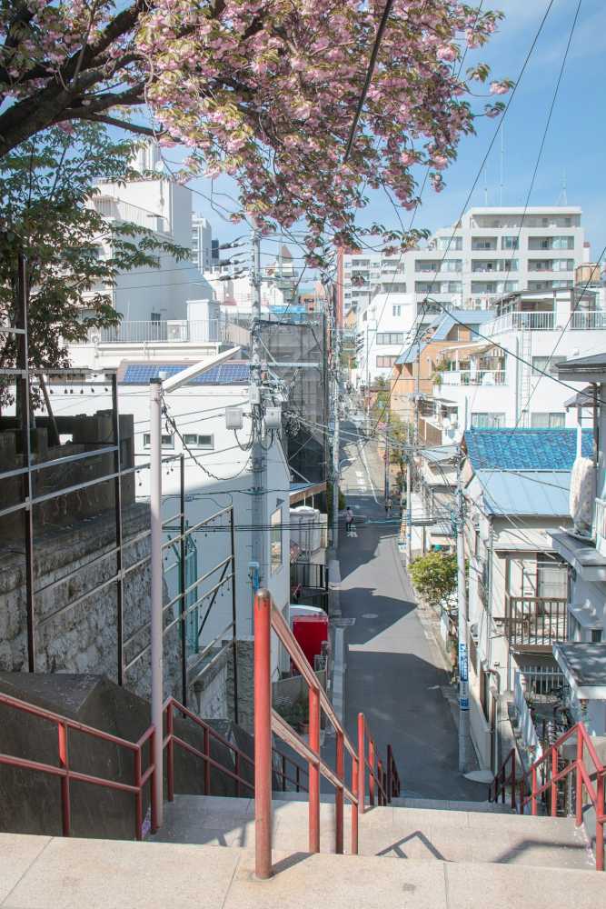 Japan to Triple Departure Tax to 3,000 Yen Starting July 1