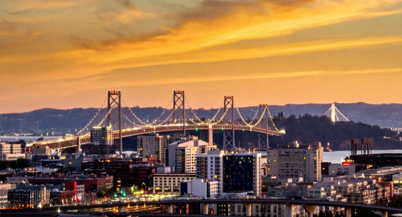 Entwined SF, Golden Gate Park, light art installation, holiday lights, modern Christmas display, Peacock Meadow, glowing forest}