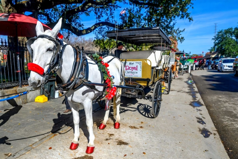 New Orleans Christmas tips, what to pack, getting around NOLA, Réveillon dinner booking, holiday travel guide, infographic}