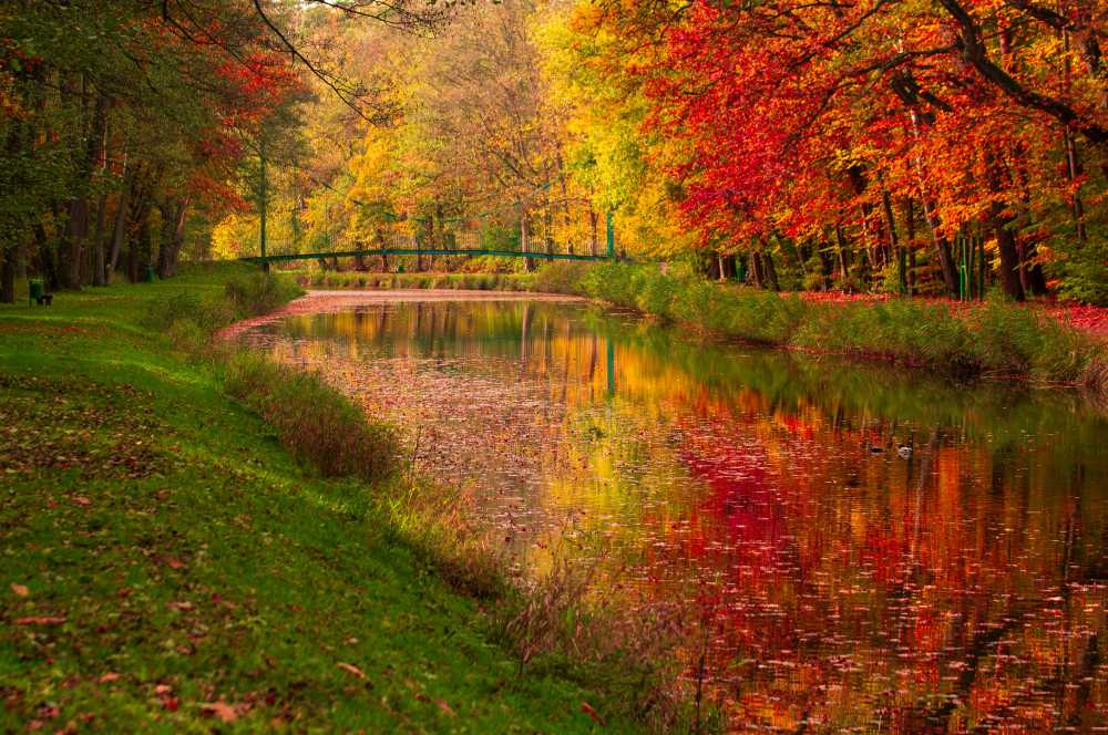 creator economy, digital marketplace, travel experts, digital products, travelers, how it works diagram