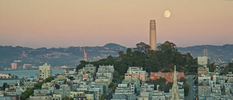 Cherry blossoms, Japantown San Francisco, Peace Pagoda, spring festival, pink flowers, cultural celebration}