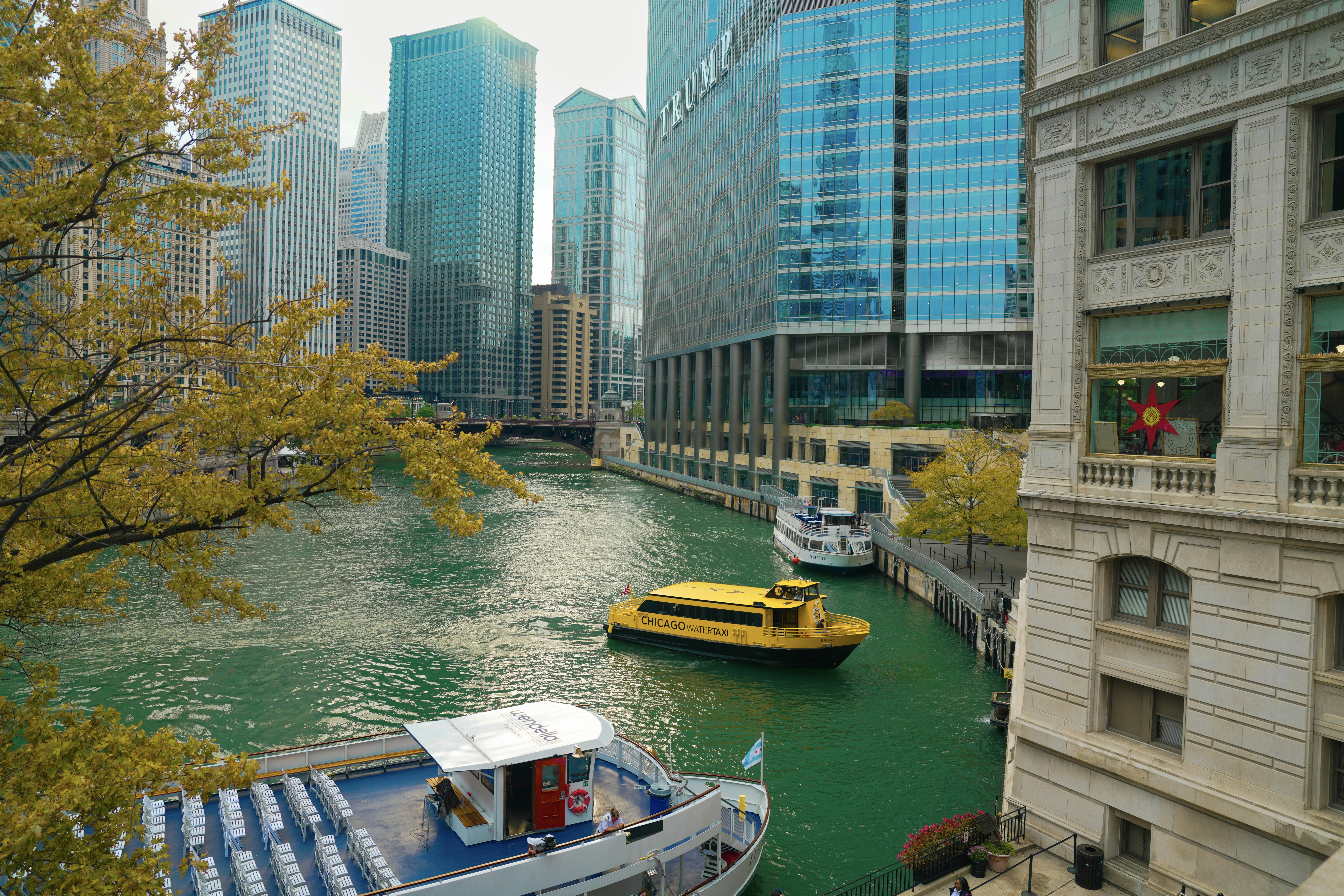 Chicago Irish pub, St. Patrick's Day celebration, Guinness beer, festive atmosphere, crowded bar, traditional music, green decorations}