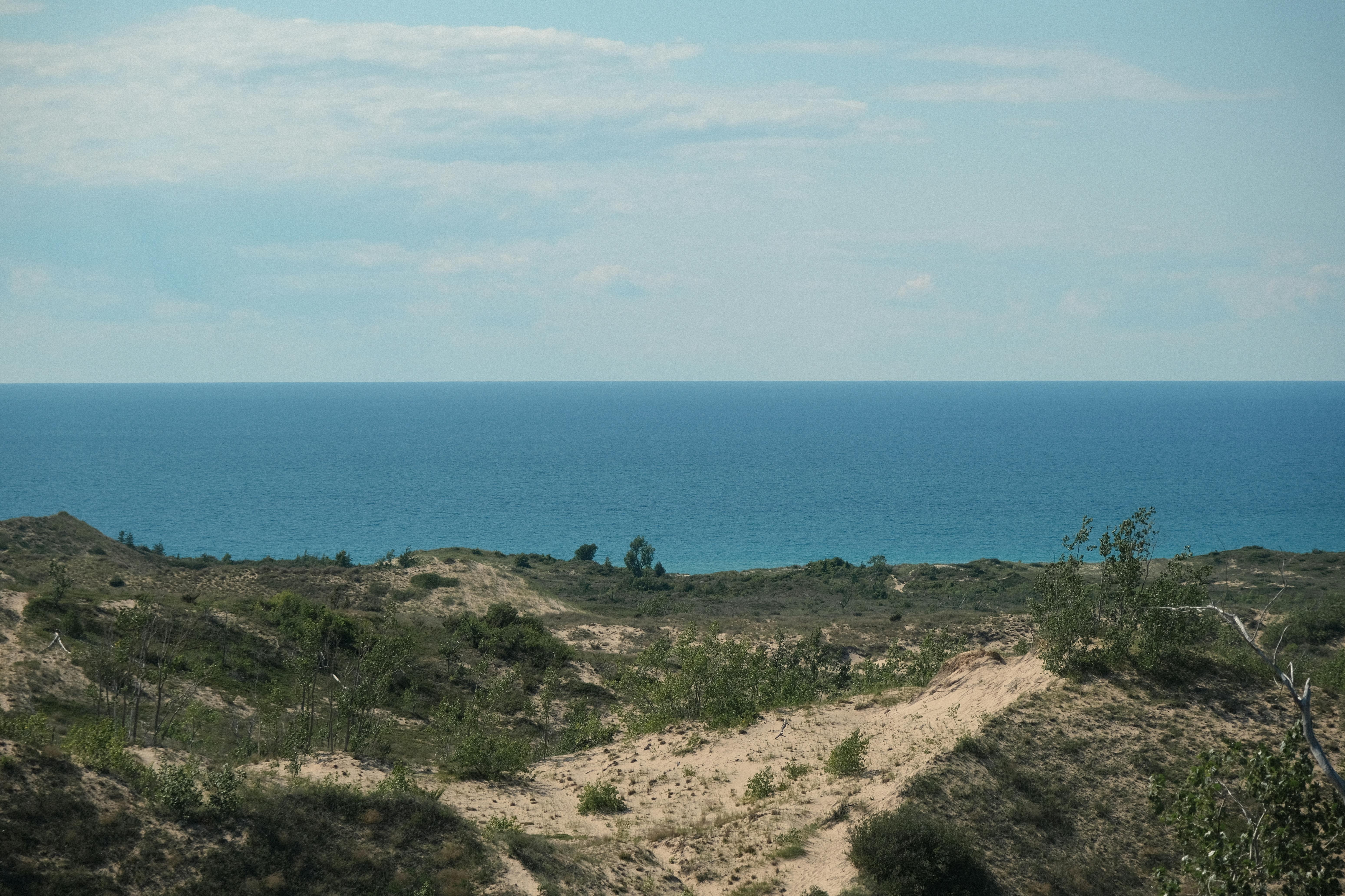 Cliff Palace, Mesa Verde National Park, Ancestral Pueblo cliff dwellings, Colorado ruins, family looking at ancient ruins