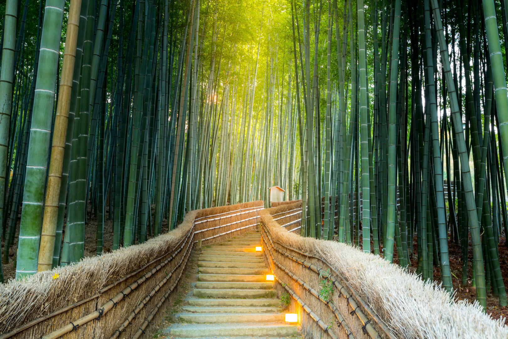 Japan Travel Guide: Golden Route - Tokyo, Kyoto, Osaka in 10 Days