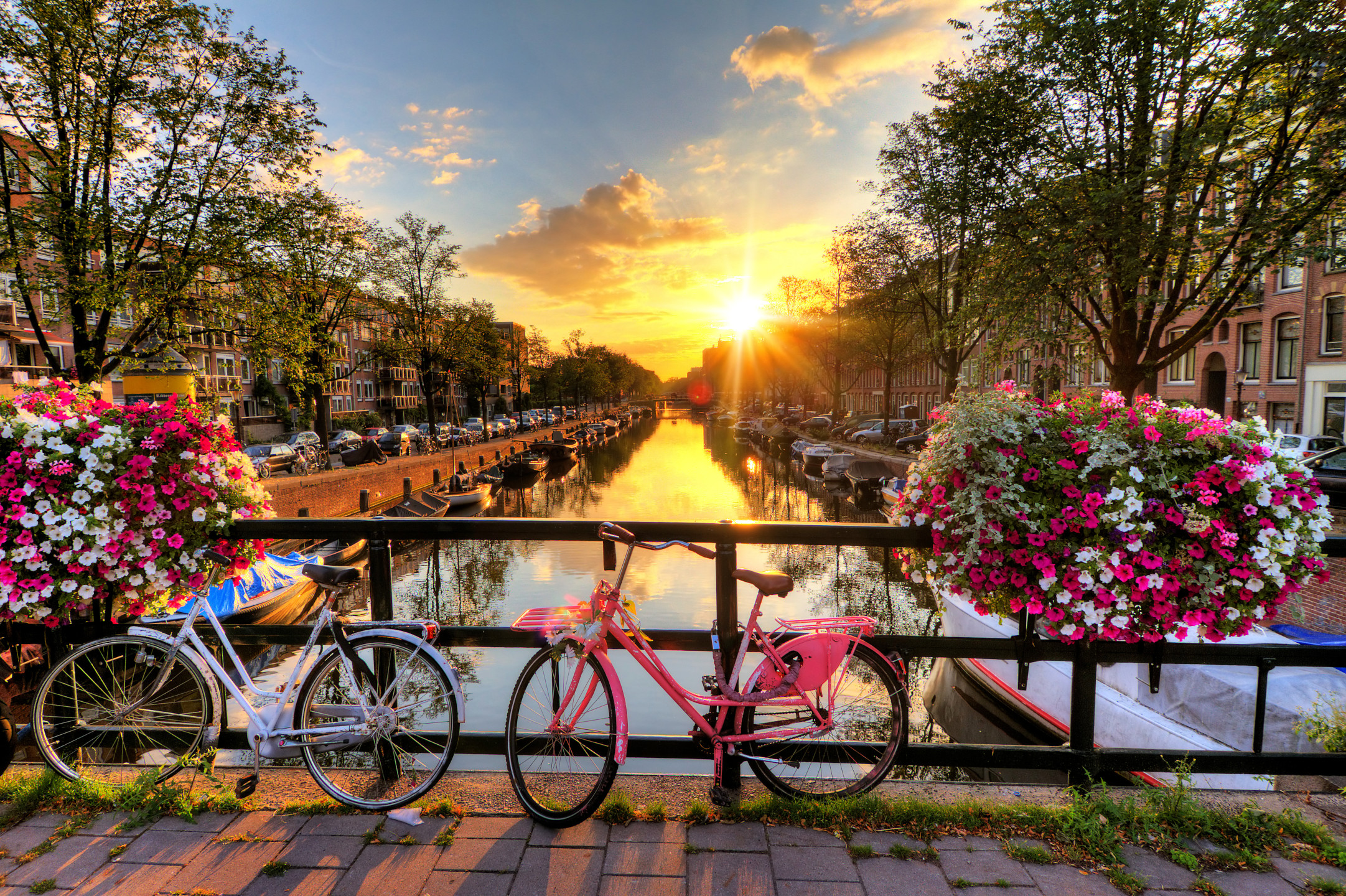 Netherlands Travel Guide: Amsterdam, Canals, and Beyond