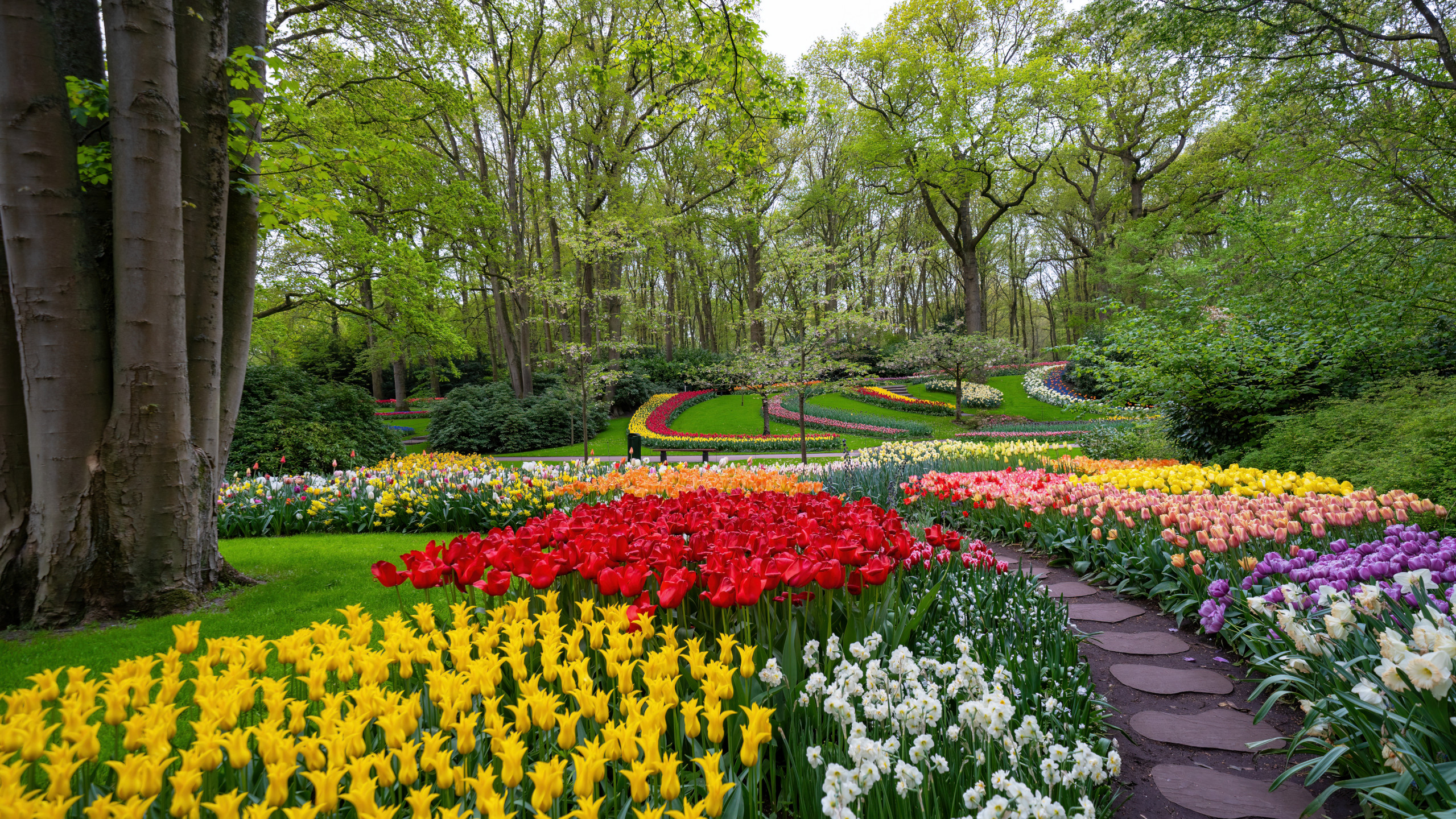 Netherlands Travel Guide: Amsterdam, Canals, and Beyond