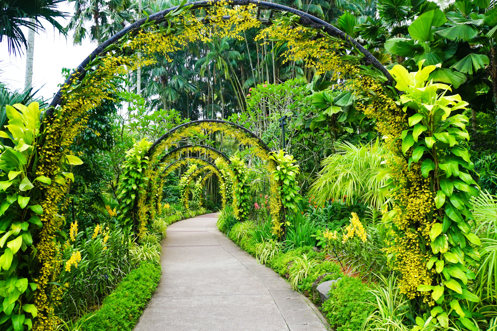 Singapore Travel Guide: Food, Gardens, and a 3-Day City Plan