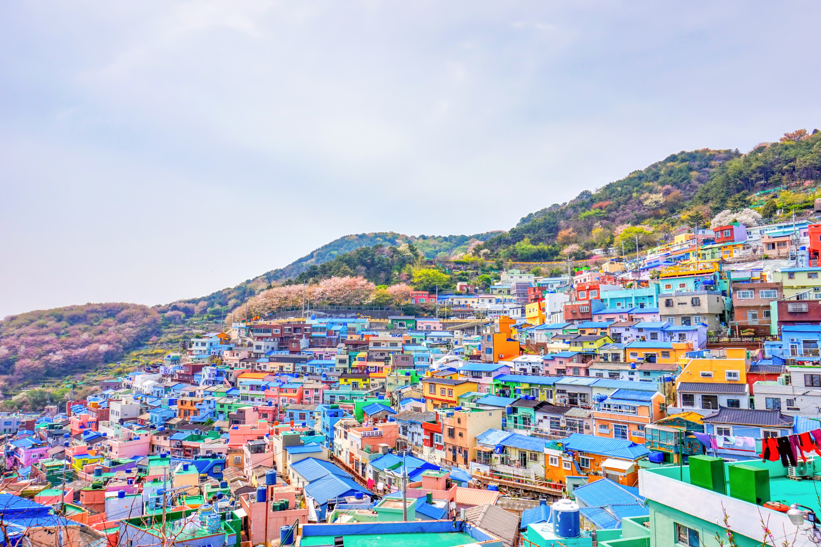 South Korea Travel Guide: Seoul, Temples, and K-Culture