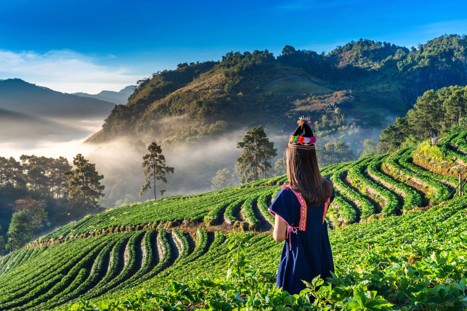 Thailand Travel Guide: Bangkok, Temples, Islands, and Street Food