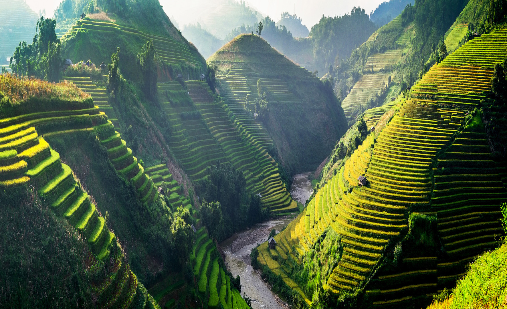 Vietnam Travel Guide: Hanoi, Ha Long Bay, Hoi An, and Ho Chi Minh